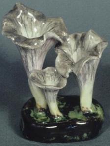 Lorenzen mushroom craterallus cornupoides a version of the first mushroom that started the trend