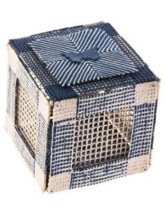 McCurdyButterfly Box Freed (Blue Butterfly Box 2.) 2012. Photo: Chris Riordan.