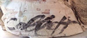 Susan Collett's Signature