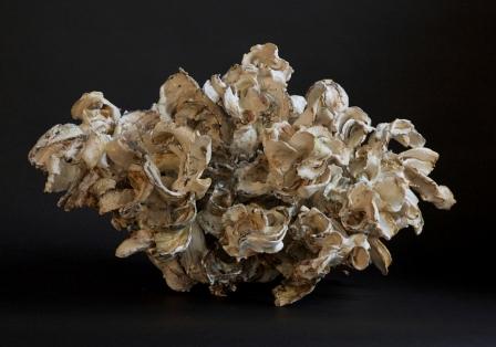 Susan Collett. FLURRY, 24"W x 14"H x 14"D. in the Cameleon Exhibition, Montreal, Oct. 2-25, 2014