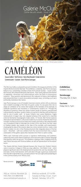 Cameleon Exhibit Invitation