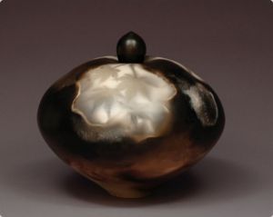 Judy Blake. Sawdust-fired Lidded Vessel with 'Leaf Shadow', 2012. Porcelain, fired with various types and textures of sawdust, 23 cm h x 25 cm w.