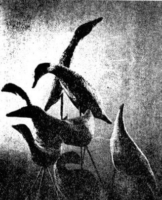 Jean Clarke. Bird Sculpture, c. 1959. Beige and white clay on copper rods and wood bases. 50.8 cm.”