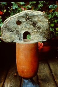 My beautiful picture