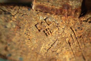 Harlan House. Chop after Ted Diakow left Clay Association. 1972 to spring 1973