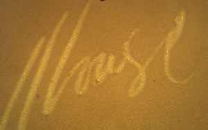 Harlan House signature engraved on translucent porcelain